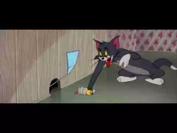 Video: Tom and Jerry, 90 Episode - Southbound Duckling (1955)